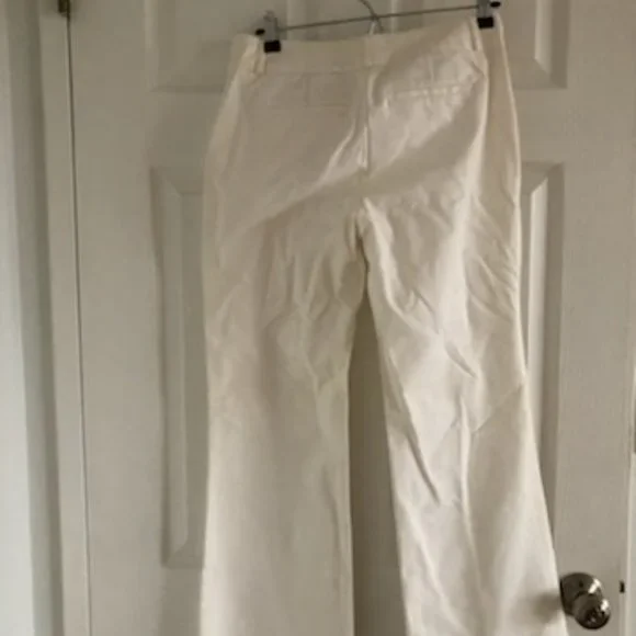 Banana Reuplic Summer Suit (Pants and Jacket) - Picture 9 of 15